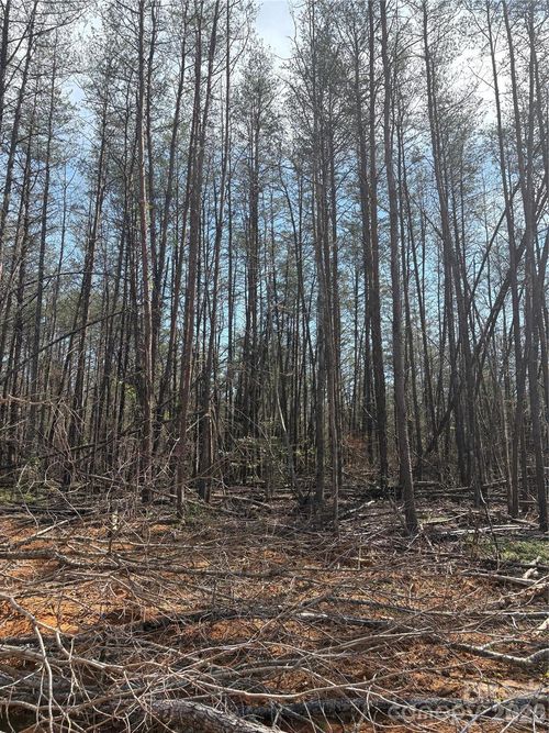 22-TBD Avenida De Oro Road, Morganton, NC, 28655 | Card Image