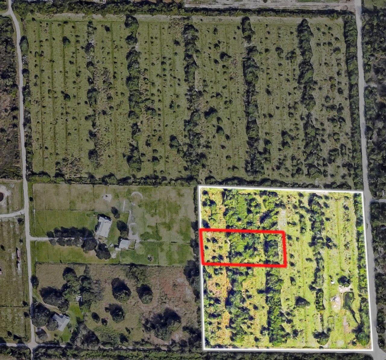 Land in PUNTA GORDA
