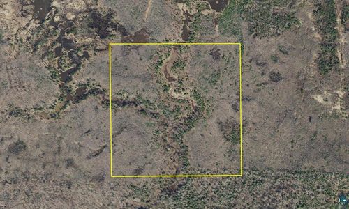 40 Acres Near Blueberry Road, RUSSELL, WI, 54814 | Card Image