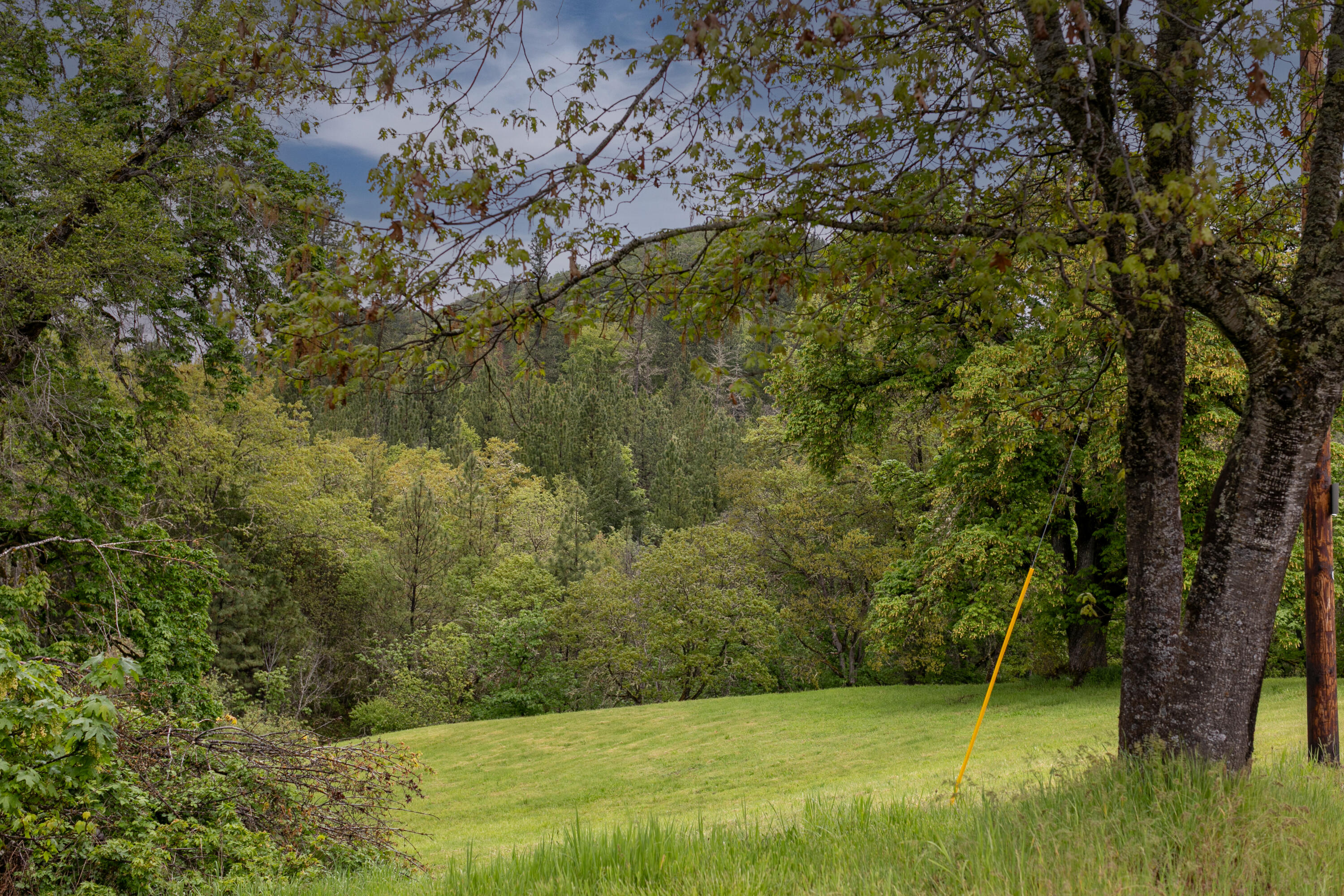 Land in Rogue River 5