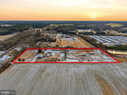 20915 Dover Bridge Rd, PRESTON, MD, 21655-1606 | Card Image