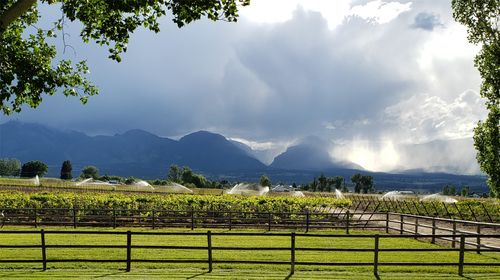 Nhn - Lot A Mountain View Orchard Road, Corvallis, MT, 59828 | Card Image