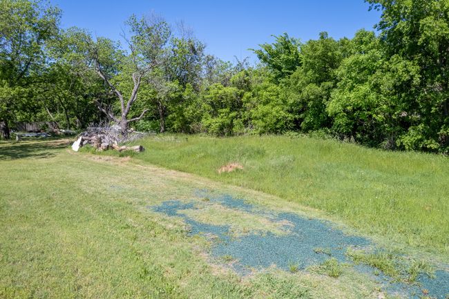 View of yard | Image 21