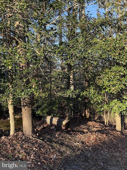 12225 Concho Court, LUSBY, MD, 20657 | Card Image