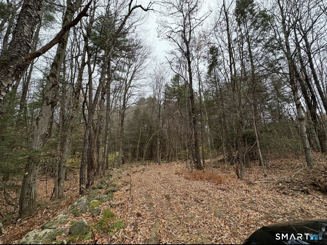 Land in Hartland 3