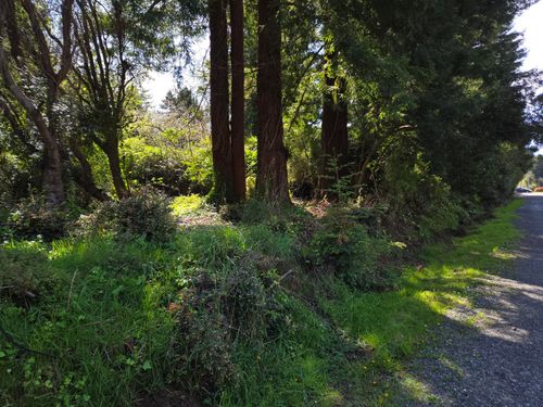 4581 Campton Rd, Eureka, CA, 95503-6167 | Card Image