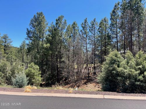 2611 S Marshalls Run, Show Low, AZ, 85901-7358 | Card Image