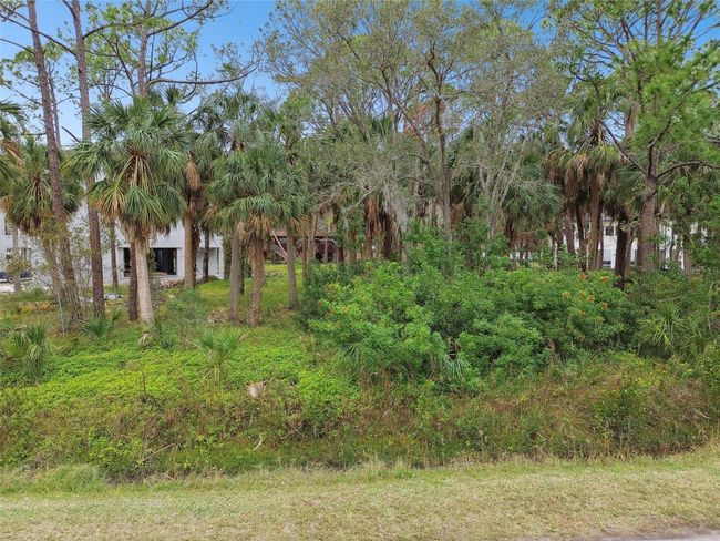 00 Phoenix Ave, Home with 0 bedrooms, 0 bathrooms and null parking in OLDSMAR FL | Image 17