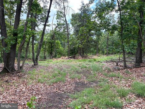 40.15 Ac Middle Ridge Road, Romney, WV, 26757 | Card Image