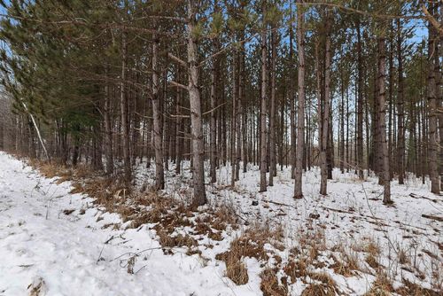 10 acres Linwood Drive, LINWOOD, WI, 54481 | Card Image