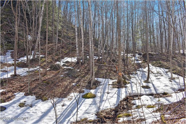 48 Durkin Rd, Home with 0 bedrooms, 0 bathrooms and null parking in North Creek NY | Image 50