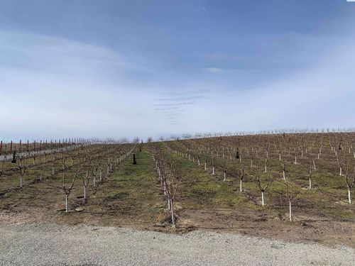 630 Moore Rd, Pasco, WA, 99301 | Card Image