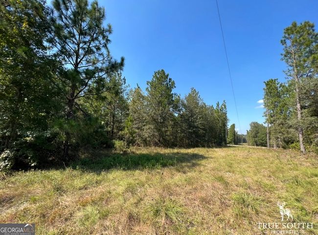 0 John S Horton Rd, Home with 0 bedrooms, 0 bathrooms and null parking in Adrian GA | Image 22