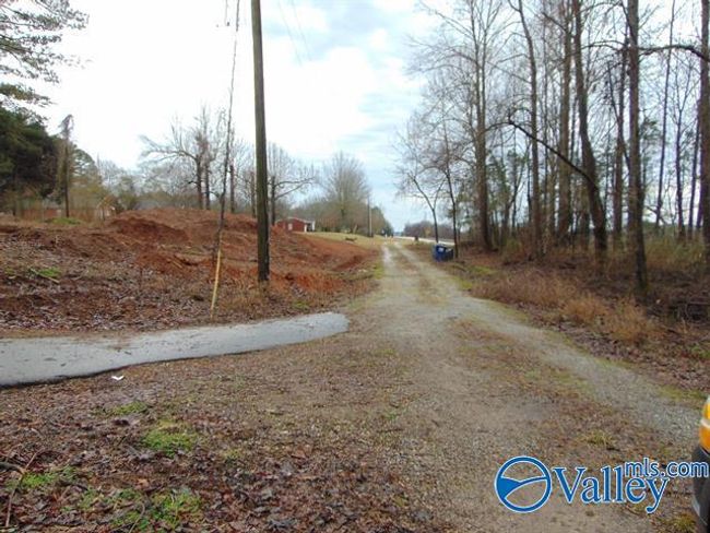 7 acres Carters Gin Rd, Home with 0 bedrooms, 0 bathrooms and null parking in Toney AL | Image 12