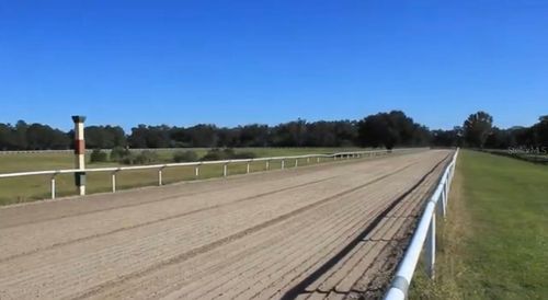 9400 Nw 160th St, Reddick, FL, 32686-3016 | Card Image