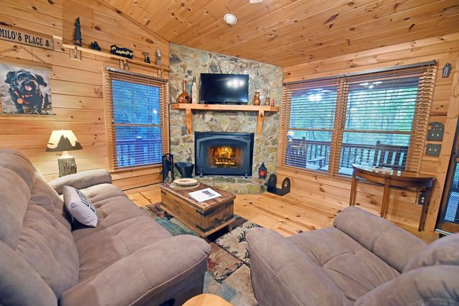 151 Hatchett Trl, Home with 3 bedrooms, 2 bathrooms and 2 parking in Cherry Log GA | Image 29