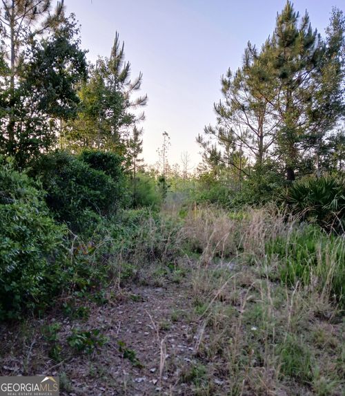 2-10623 Highway 94, Saint George, GA, 31562-3763 | Card Image