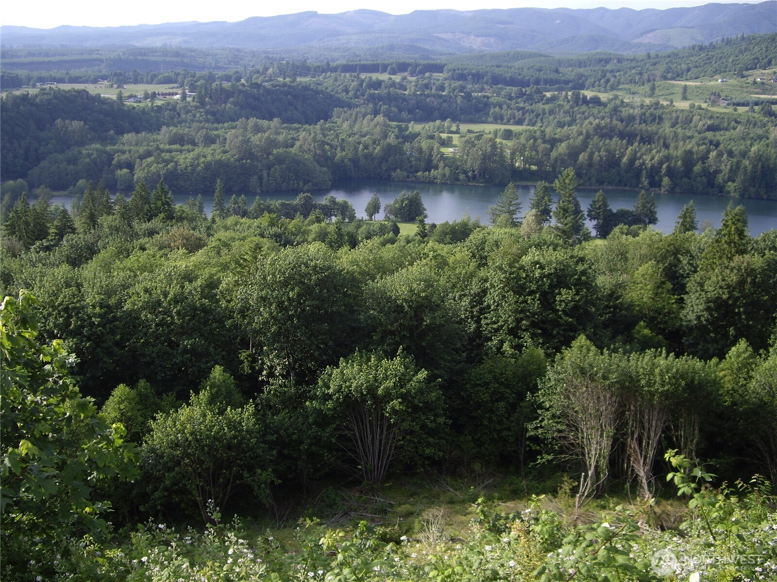 Land in Mossyrock 3