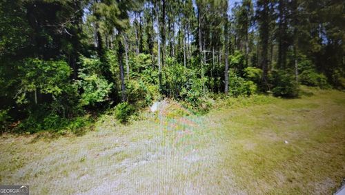 0 Tuton Rd, Baconton, GA, 31716 | Card Image