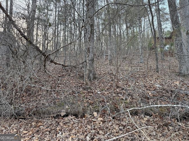 0 Luther Dr, Home with 0 bedrooms, 0 bathrooms and null parking in WEDOWEE AL | Image 7