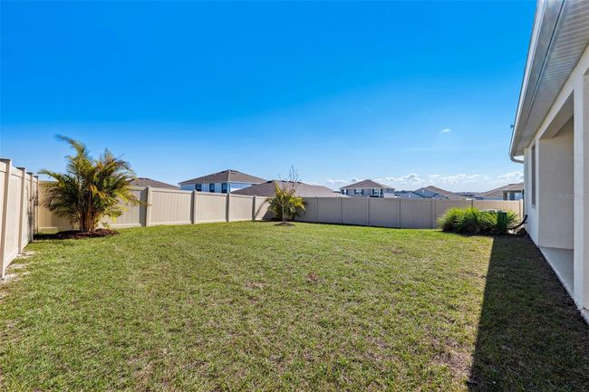 9804 Rowing Dale Bnd, House other with 4 bedrooms, 3 bathrooms and null parking in WESLEY CHAPEL FL | Image 49