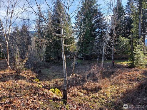 0 Lot 12 Slalom Way, Packwood, WA, 98361 | Card Image