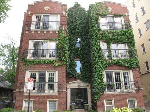 2n-911 Maple Ave, Evanston, IL, 60202-4934 | Card Image