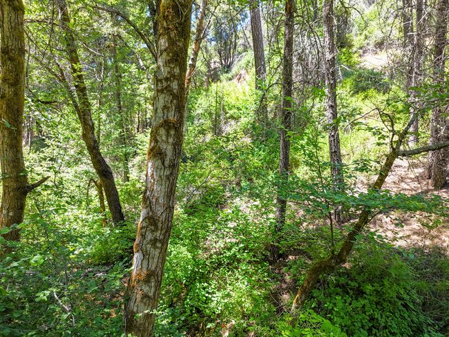 0000 E Fork Rd, Home with 0 bedrooms, 0 bathrooms and null parking in French Gulch CA | Image 71