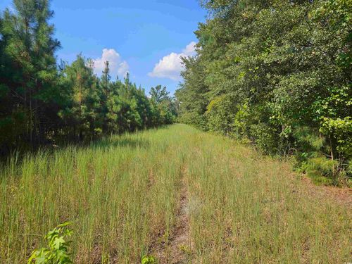 109 Trifalia Rd, Scranton, SC, 29591 | Card Image