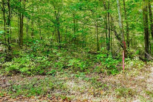 0 Bolestown Loop Lot 2, Alpine, TN, 38543 | Card Image