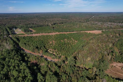 TBD Sand Plant Rd., Nichols, SC, 29581 | Card Image