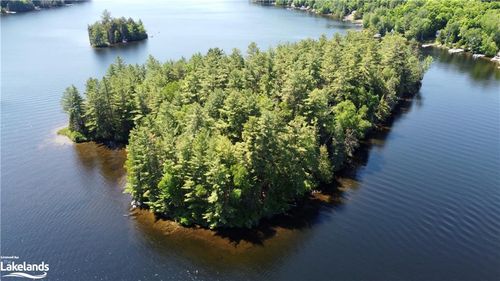 0 Bucktooth Island, Perry, ON, P0A1J0 | Card Image