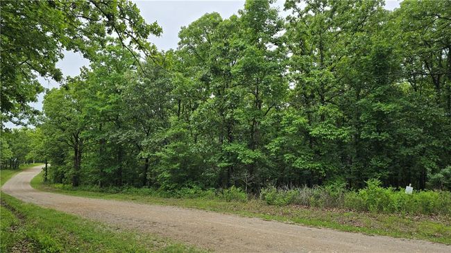 View of dirt / gravel road featuring a view of trees | Image 4