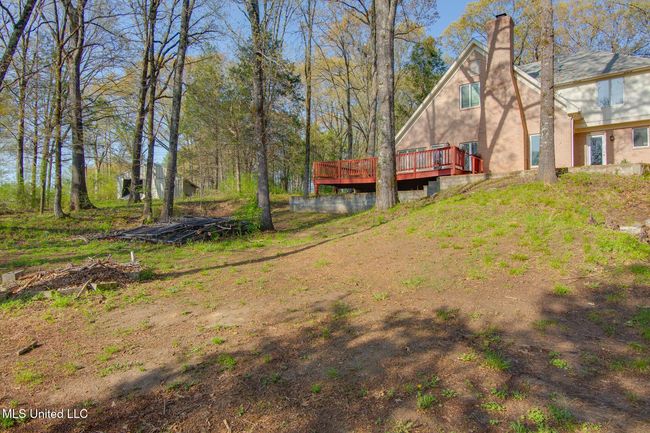 Backyard | Image 29