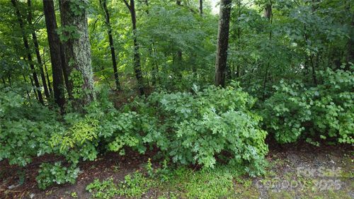 #46 Hemlock Trl, Columbus, NC, 28722-0468 | Card Image