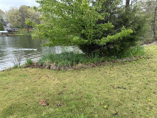 255 Grand Valley Dr, Home with 0 bedrooms, 0 bathrooms and null parking in Saulsbury TN | Image 4