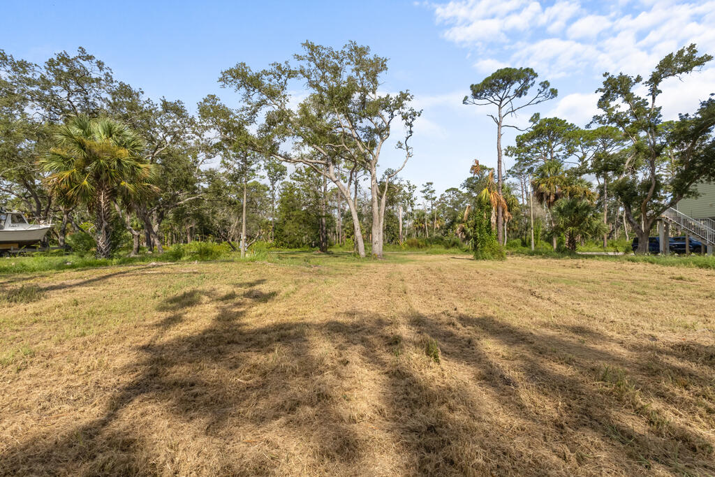 Land in Steinhatchee 2