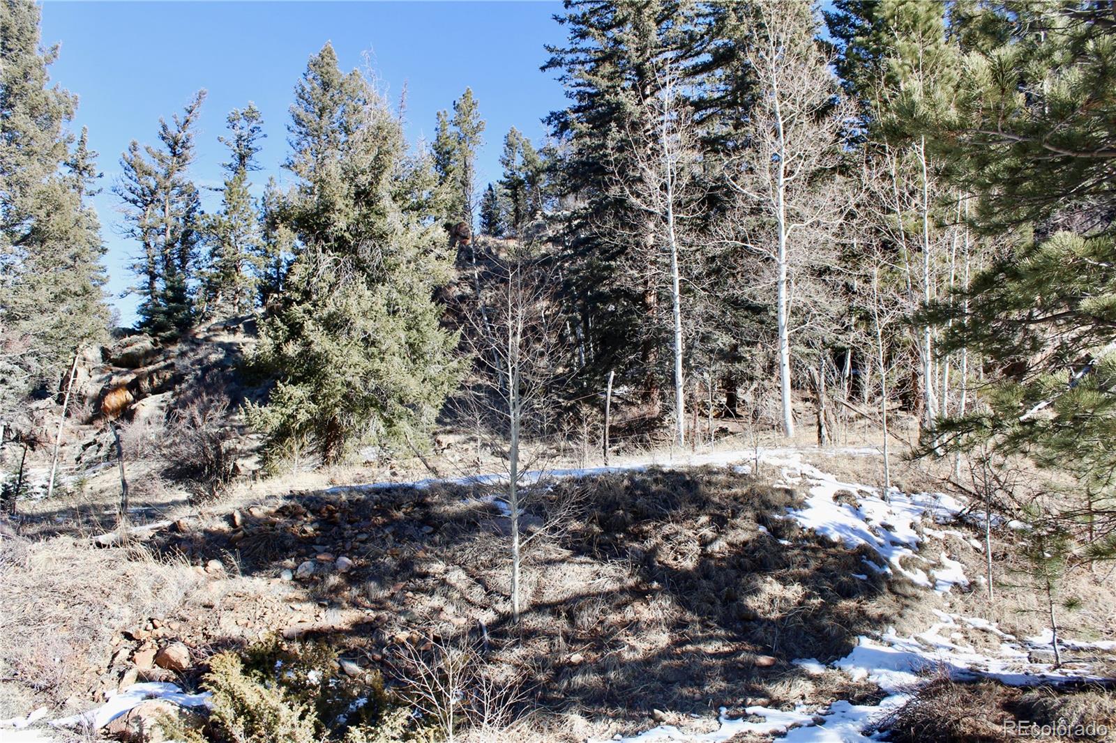 Land in Westcliffe 3