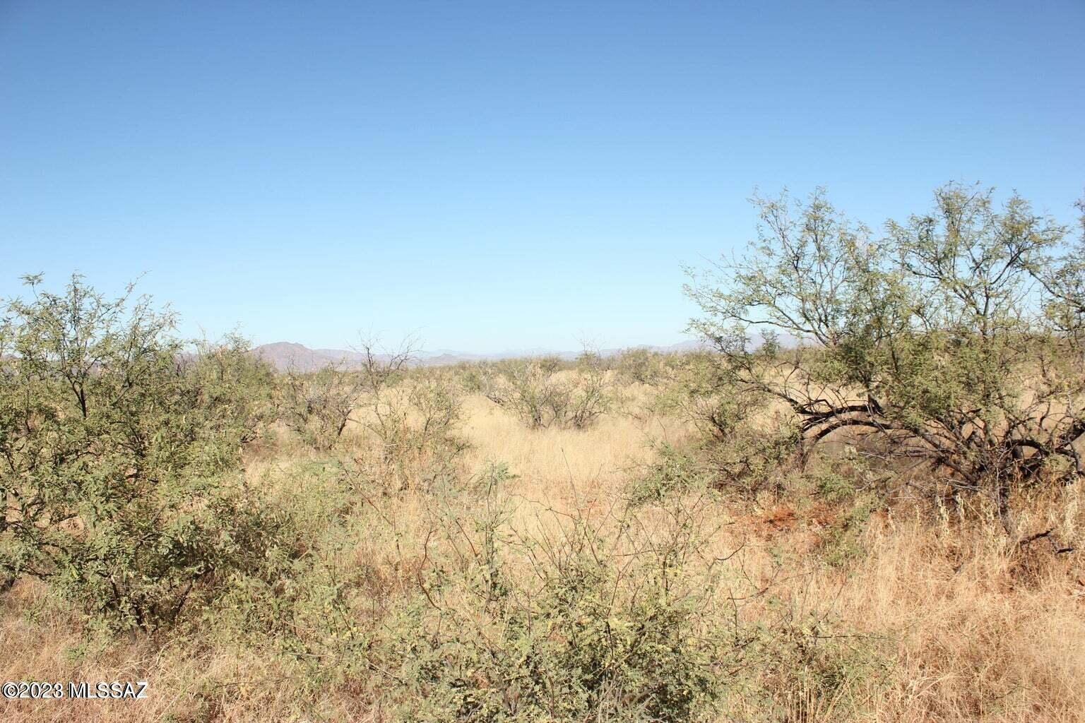 Land in Rio Rico 3