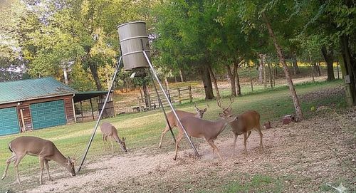 435562 E 1630 Rd, Tuskahoma, OK, 74574-5845 | Card Image