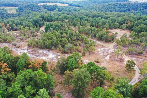 320 Pine Crest Trl, Calico Rock, AR, 72519-8009 | Card Image