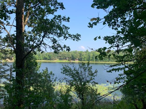 1888 Trillium Dr Nw, Hackensack, MN, 56452-2185 | Card Image
