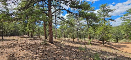 638 Keith Lane, Cotopaxi, CO, 81223 | Card Image