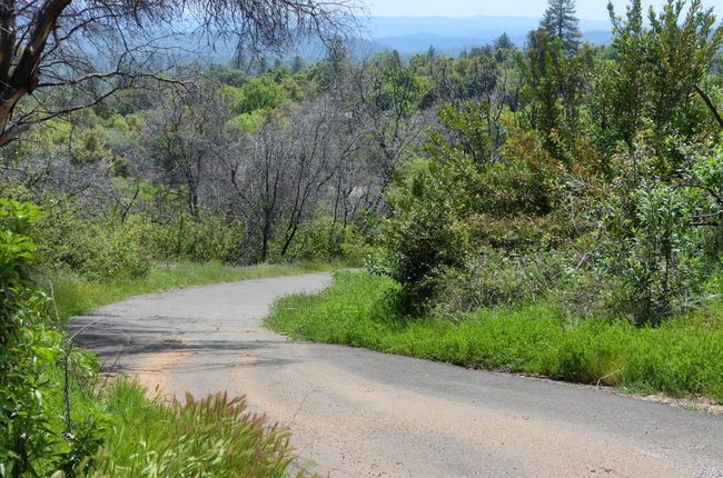 4632 Triangle Rd, Home with 0 bedrooms, 0 bathrooms and null parking in Mariposa CA | Image 9