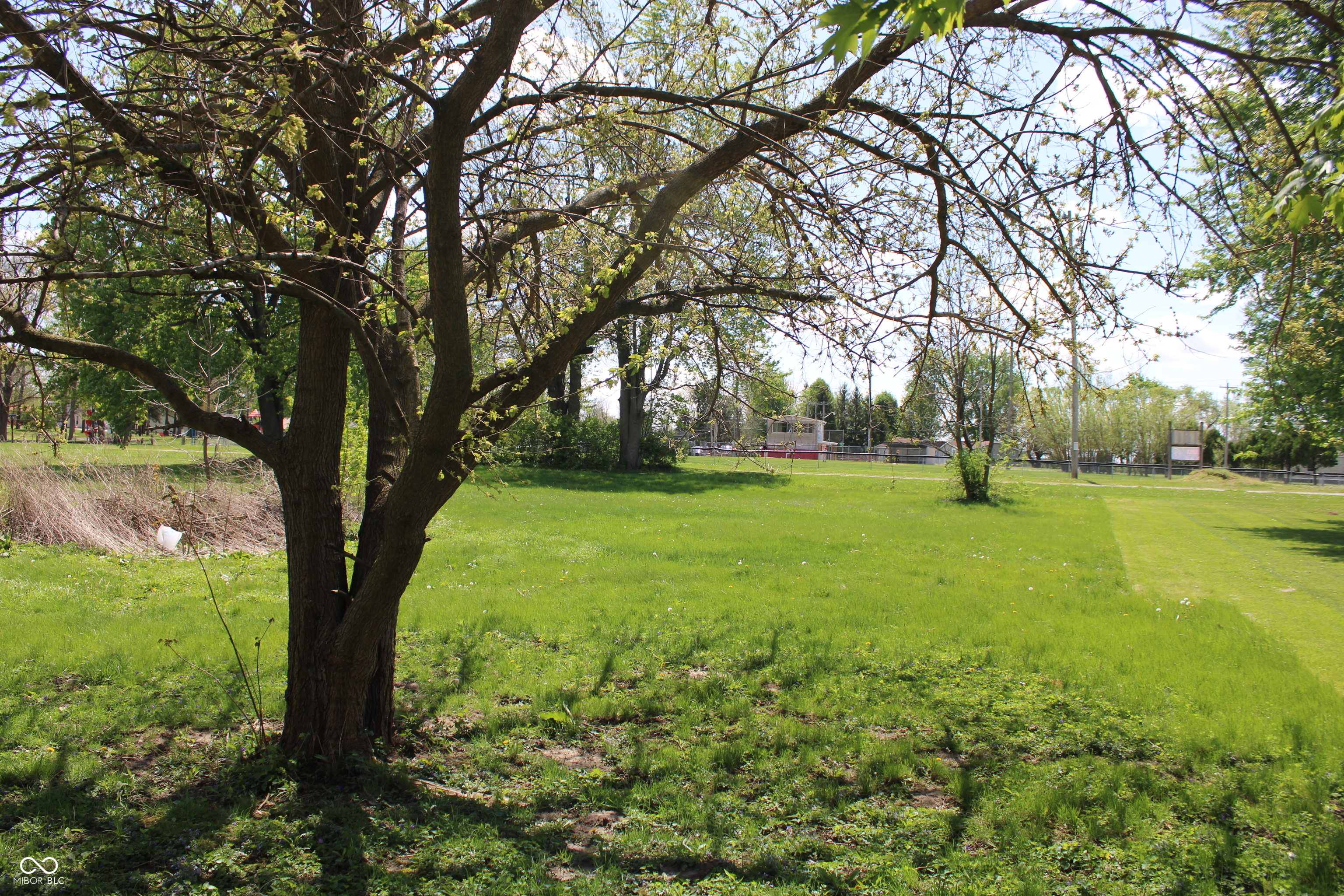 Land in Frankton 2
