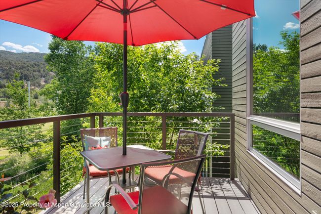 202 - 202 Evans Rd, Condo with 1 bedrooms, 1 bathrooms and 1 parking in Basalt CO | Image 18