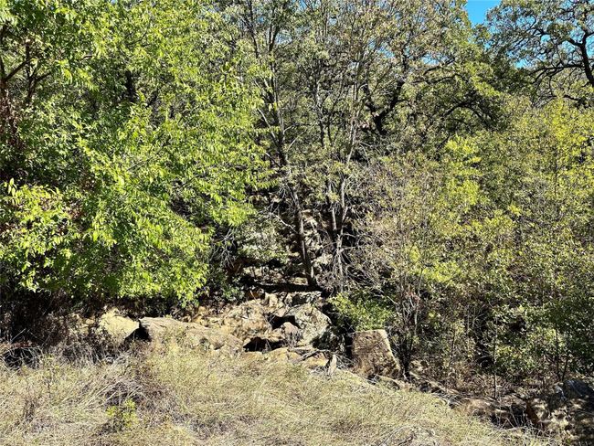 View of landscape with a wooded view | Image 20