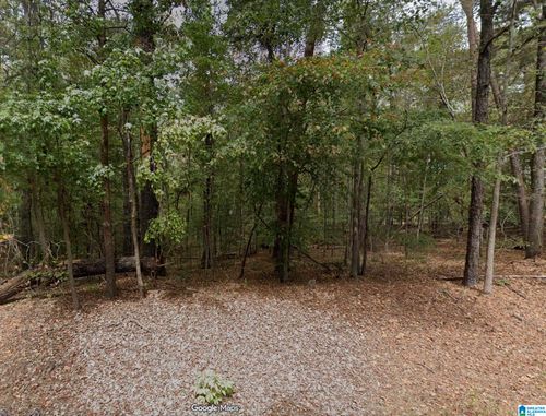 6435-15001 Lock 17 Rd, Adger, AL, 35006 | Card Image