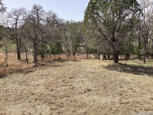 LOT 8 Coldwater Dr E, Center Point, TX, 78010 | Card Image