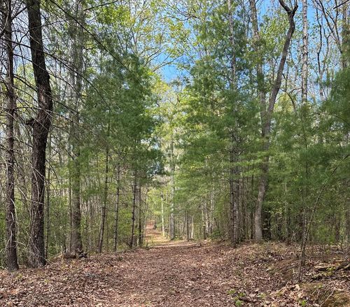 LOT 20 Big Pine Ct, Ellijay, GA, 30536 | Card Image